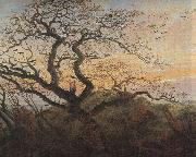Caspar David Friedrich Tree with crows Sweden oil painting artist